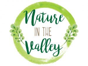 Nature in the Valley: Exploring the intersection between art and nature